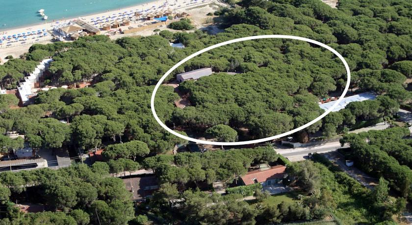 Отель Hotel Villa Nettuno