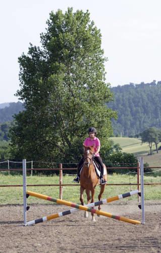 Отель Agriturismo La Scuderia