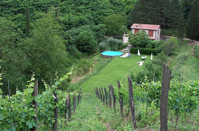 Отель Agriturismo Macea