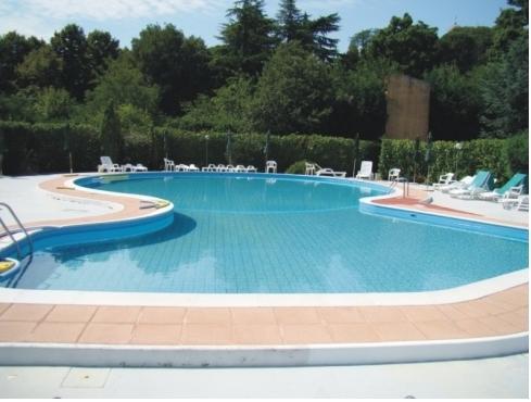 Отель Hotel Terme Euganee