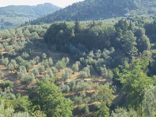 Отель Agriturismo Il Colle