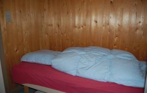 Апартаменты Holiday home Blåbærvangen Blue