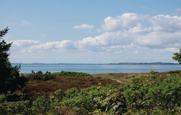 Апартаменты Holiday home Hannesvej Løgstør IX