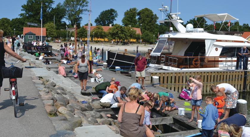 Апартаменты Holiday home Rørviglund