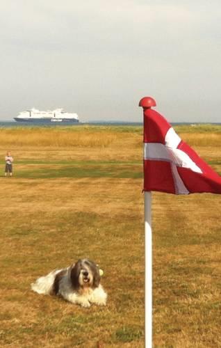 Апартаменты Holiday home Egevænget Rudkøbing II