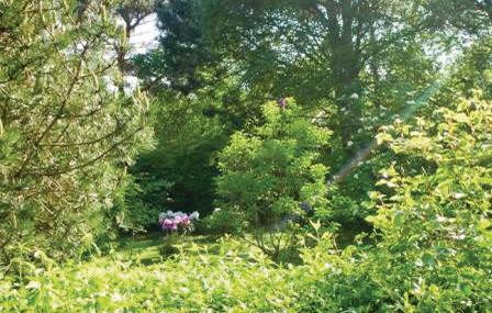 Апартаменты Holiday home Bragesvej