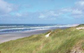Апартаменты Holiday home Engesøvej IV