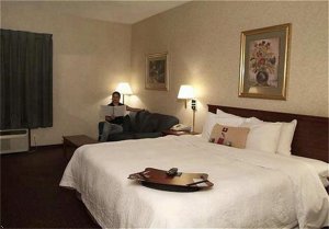 Отель Hampton Inn Flemington