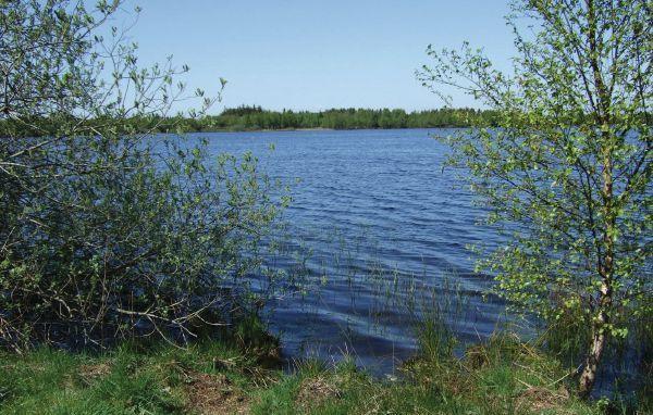 Апартаменты Holiday home Søknudevej Ansager Denm