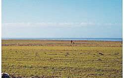 Апартаменты Holiday home Vesterende Bredebro I