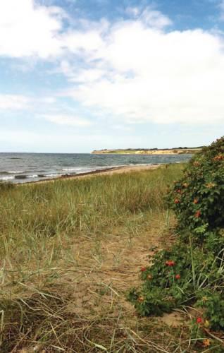 Апартаменты Holiday home Lillehøj
