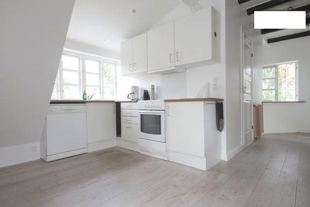 CPH Villa Apartment