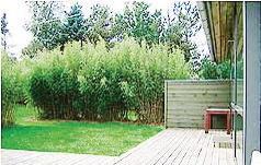Апартаменты Holiday home Hasseløvej