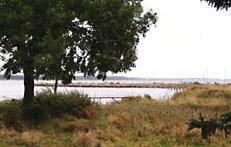 Апартаменты Holiday home Frydenstrand