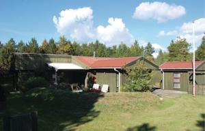 Апартаменты Holiday home Gyvelvej Skjern XII