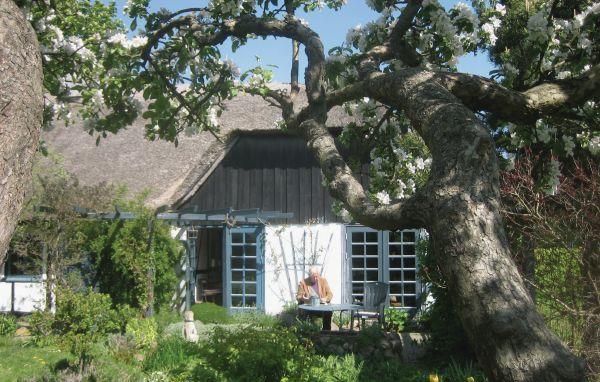 Апартаменты Holiday home Nordlundevej Nakskov IX
