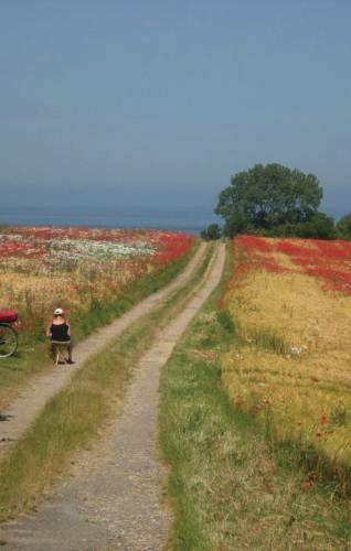 Апартаменты Holiday home Svalevej Sjællands Odde V