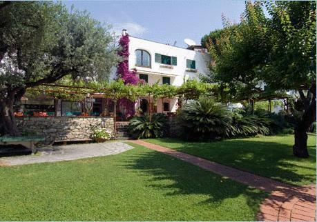 Отель Hotel El Chico