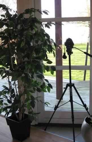 Апартаменты Holiday home Drosselvej Brenderup Fyn VI