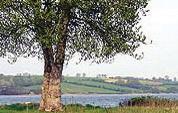 Апартаменты Holiday home Vemmingbund Strandvej Broager Denm