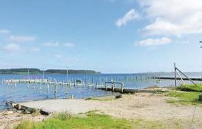 Апартаменты Holiday home Sandskærvej Aabenraa II