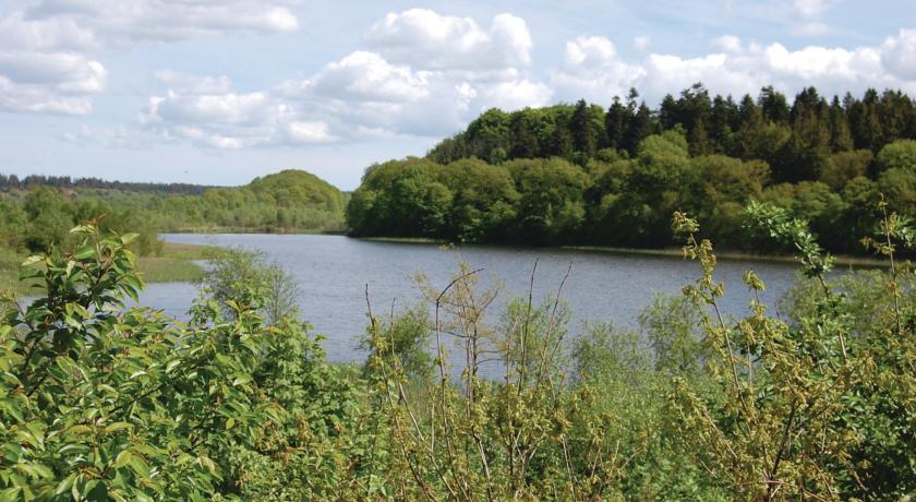 Апартаменты Holiday home Rørbæksøvej Ejstrupholm V