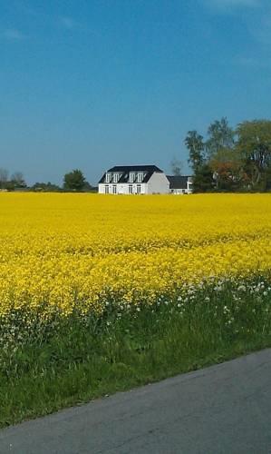Мини-отель Roskilde B&B