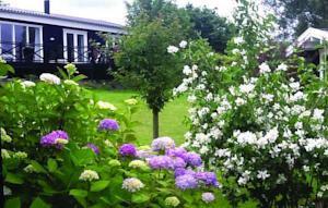 Апартаменты Holiday home Grønhøjvænge Holbæk VI