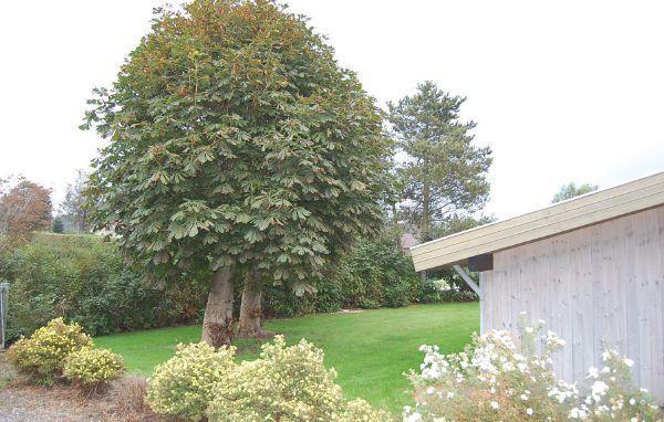 Апартаменты Holiday home Brombærvænget XII
