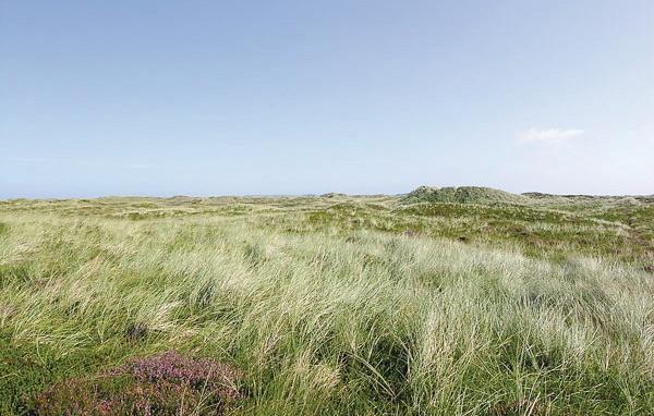 Апартаменты Holiday home Rørslettevej Frøstrup IX