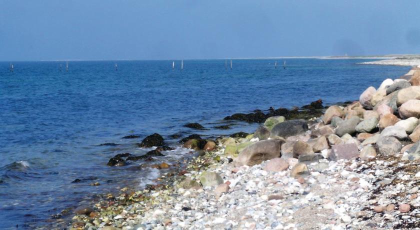 Апартаменты Ristinge Strandgård
