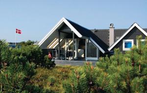 Holiday home Havklitvej Ringkøbing IX