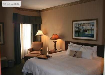 Отель Hampton Inn & Suites Tampa-North