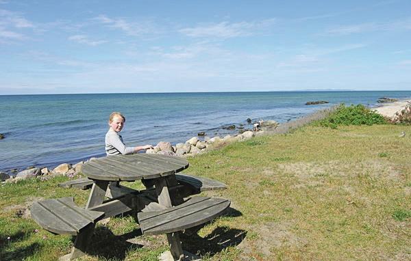 Апартаменты Holiday home Stængestykket