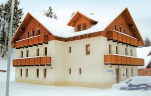 Apartment Harrachov I