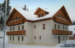 Apartment Harrachov II