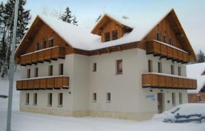 Apartment Harrachov III