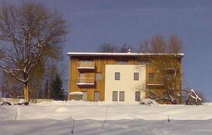 Апартаменты Apartment Horni Tric III