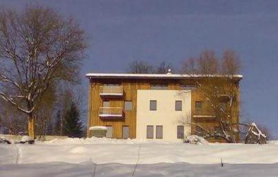 Апартаменты Apartment Horni Tric IV
