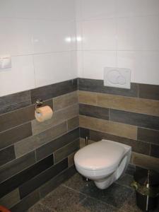 Апартаменты Apartment Bedrichov