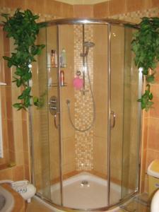 Апартаменты Apartment Zamecka