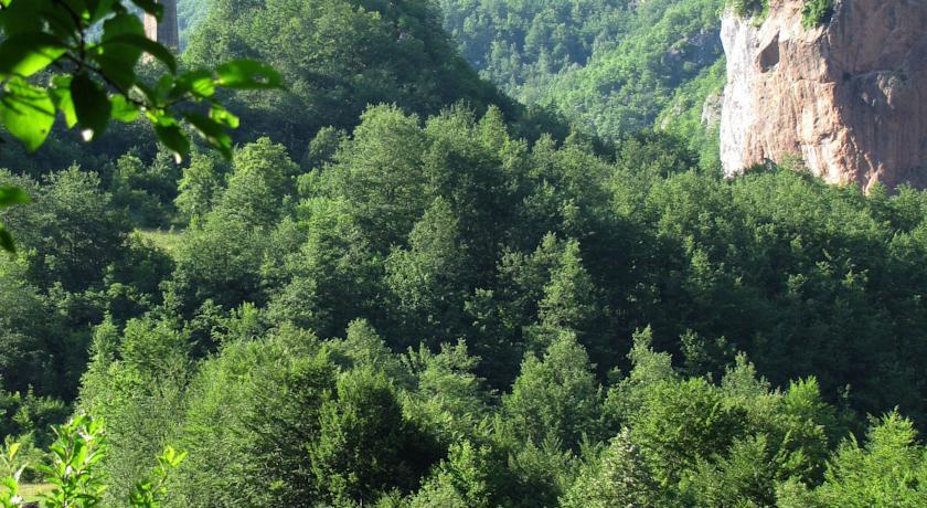 Гостевой дом Rafting Rooms Tara