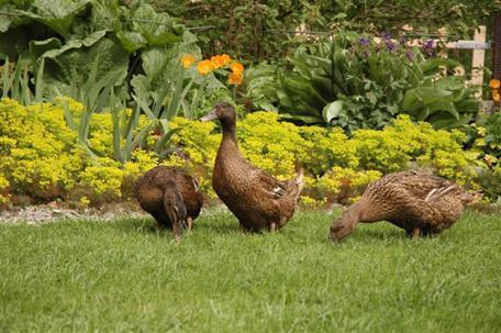 Мини-отель Harbour Hill Farm B&B