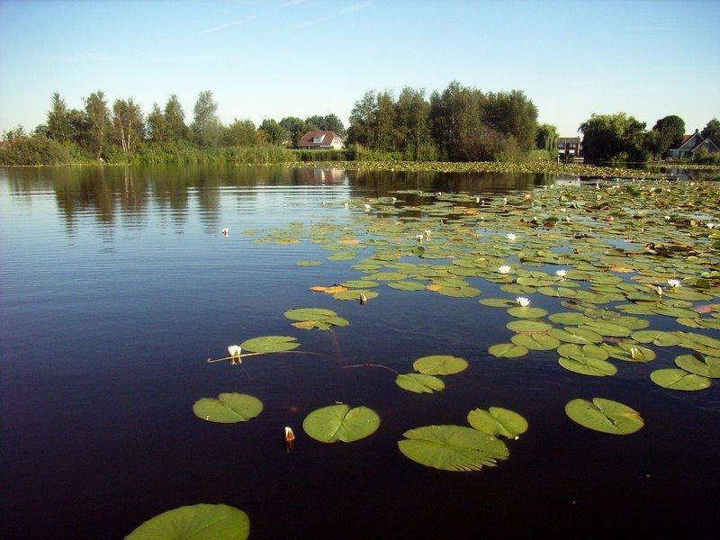 Мини-отель 2B: Bed&Breakfast