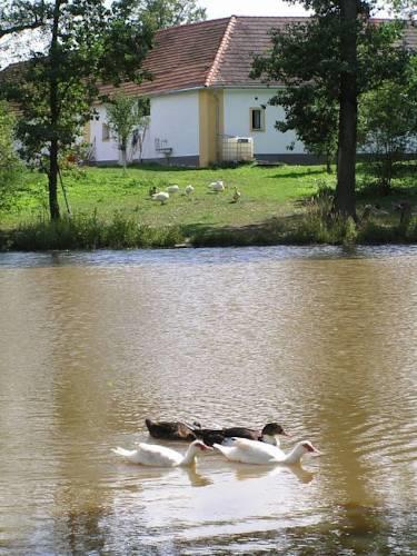 Апартаменты Apartment Salmanovice