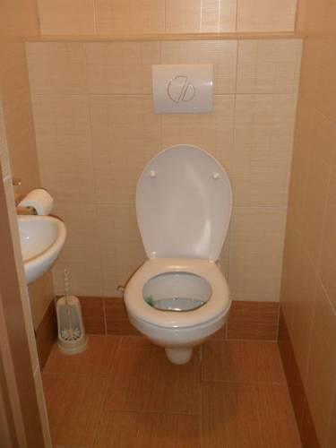 Апартаменты Holiday home Konopiste