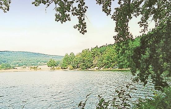 Апартаменты Holiday home Svinetice