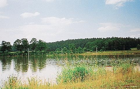 Апартаменты Holiday home Nova Ves c.