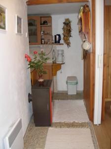 Апартаменты Holiday home Stara Rabyne II