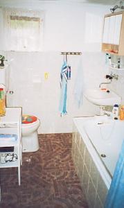 Апартаменты Holiday home Stribrna I